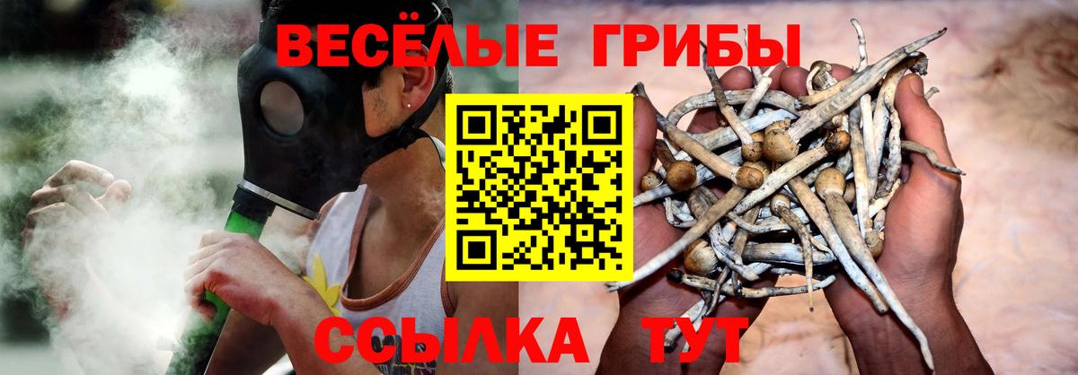 Галлюциногенные грибы Magic Shrooms  Вход с VPN  Галлюциногенные грибы мухоморы  где можно купить наркотик  Артём 